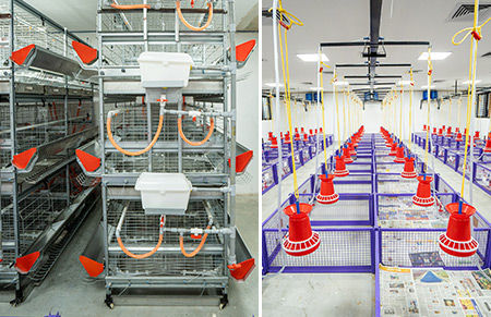 Clinical Efficacy Testing