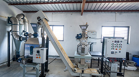 Open Branch Other Country